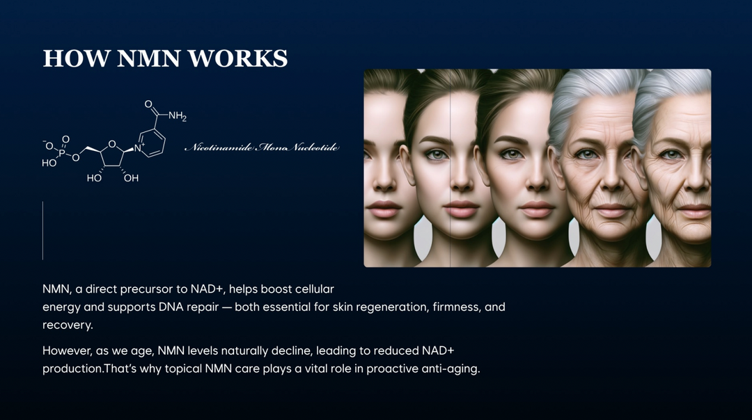 Meet the Future of Anti-Aging: NMN and NAD+