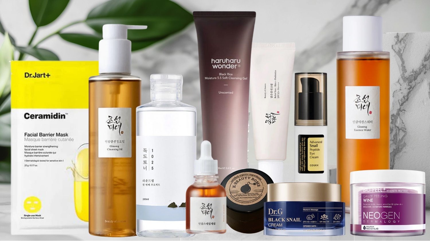 The Rejuvenation Collection