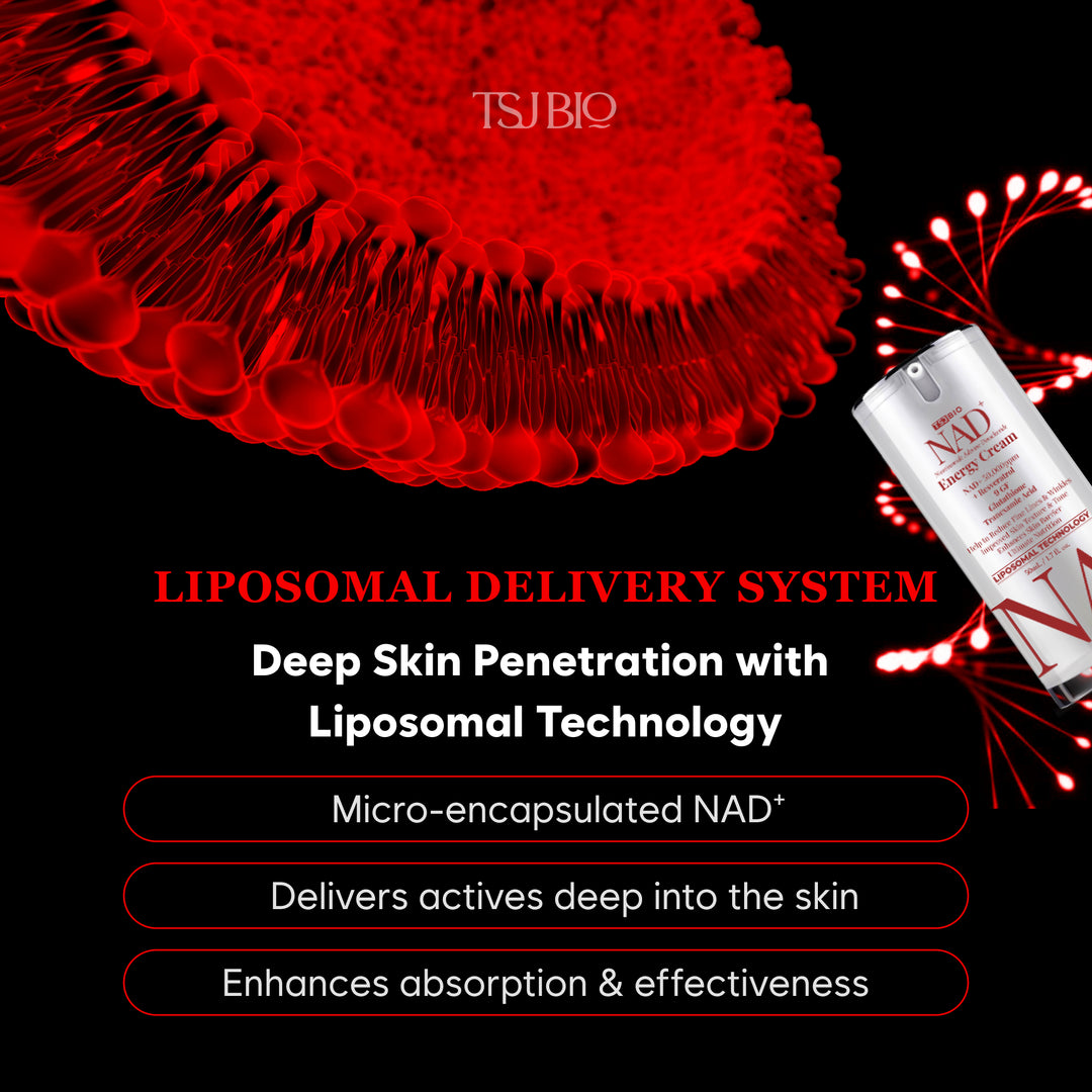 COMING SOON!  NAD+ Energy Cream